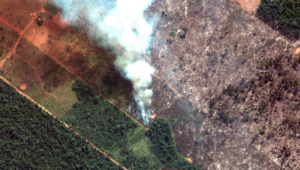 Lee más sobre el artículo ONU, ALEMANIA, NORUEGA Y FRANCIA PIDEN, ACCIONES URGENTES A BOLSONARO