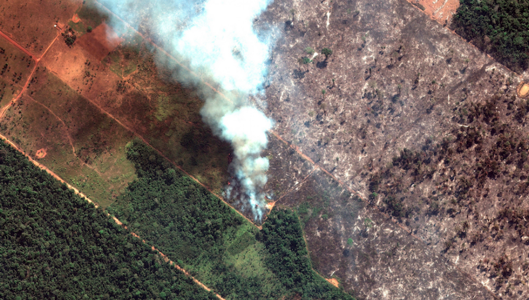 Lee más sobre el artículo ONU, ALEMANIA, NORUEGA Y FRANCIA PIDEN, ACCIONES URGENTES A BOLSONARO