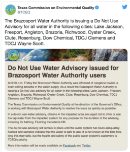 Lee más sobre el artículo ALERTA EN VARIAS CIUDADES DE TEXAS POR EXTRAÑA AMEBA