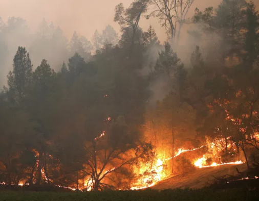 Lee más sobre el artículo 1.62 MILLONES DE HECTÁREAS SON ARRASADAS POR INCENDIOS EN CALIFORNIA