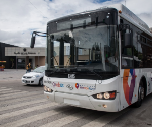 Lee más sobre el artículo IQT ATIENDE ACCIDENTE DE TRANSPORTE PÚBLICO COLECTIVO URBANO CONFORME A LA LEY DE MOVILIDAD PARA EL TRANSPORTE DEL ESTADO DE QUERÉTARO