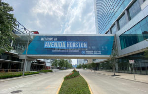 Lee más sobre el artículo AVENIDA HOUSTON