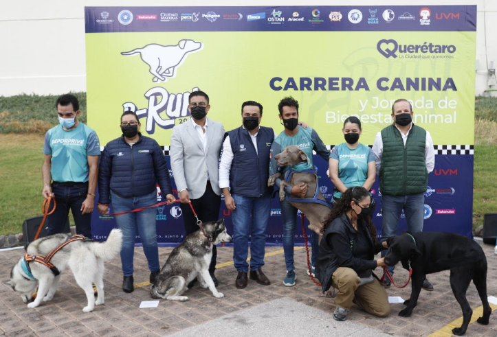 Lee más sobre el artículo ANUNCIA LUIS NAVA LA SEGUNDA CARRERA CANINA P-RUN 2022 EN EL PARQUE BICENTENARIO