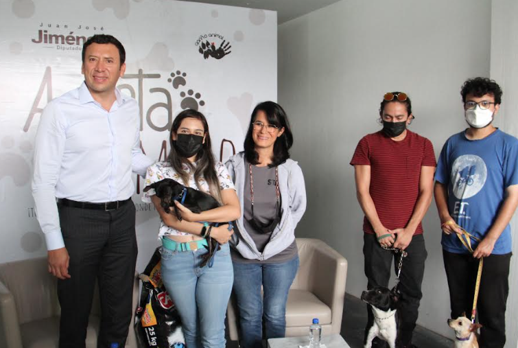 Lee más sobre el artículo EL DIPUTADO JUAN JOSÉ JIMÉNEZ YÁÑEZ PRESENTÓ EXHORTO A LOS MUNICIPIOS DEL ESTADO Y CENTROS DE ATENCIÓN CANINA PARA LA REALIZACIÓN DE CAMPAÑAS DE ADOPCIÓN DE ANIMALES DE COMPAÑÍA