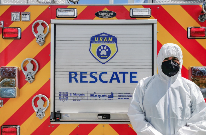 Lee más sobre el artículo CAAM EL MARQUÉS COLABORA CON FGQ PARA SANCIONAR MALTRATO ANIMAL