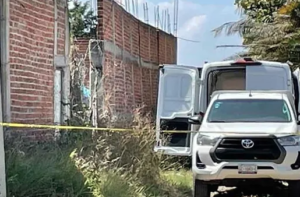 Lee más sobre el artículo LA FISCALÍA DE GUANAJUATO -TERMINÓ LA EXHUMACIÓN EN LA FOSA CLANDESTINA DE IRAPUATO, QUE DESCUBRIÓ UN PERRO