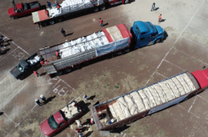 Lee más sobre el artículo APOYA SEDEA CON MAÍZ A TRES MIL 299 PRODUCTORES DE AMEALCO DE BONFIL