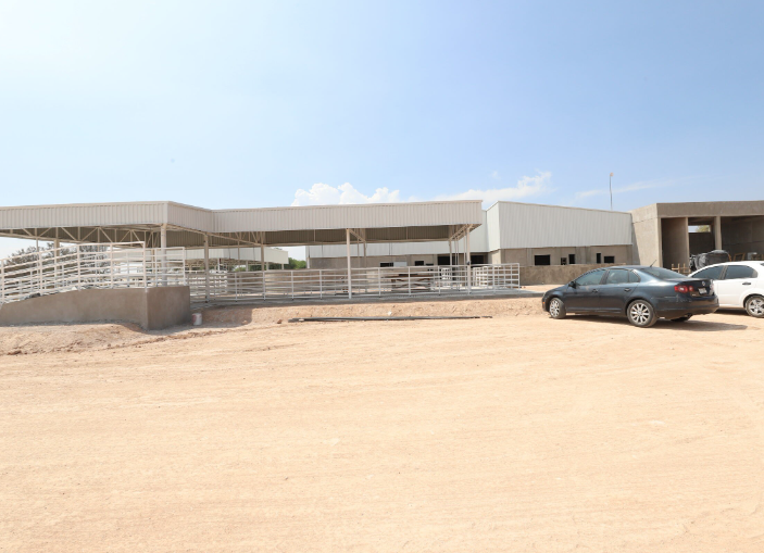 Lee más sobre el artículo AVANZA EN 86% CONSTRUCCIÓN DEL RASTRO DE EZEQUIEL MONTES