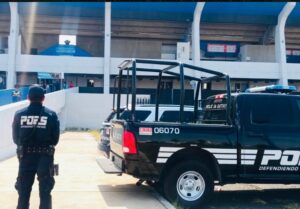 Lee más sobre el artículo SALDO BLANCO EL PARTIDO ENTRE GALLOS Y TIGRES