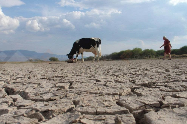 Lee más sobre el artículo AUMENTA SEQUÍA EN MÉXICO TRAS ONDA DE CALOR