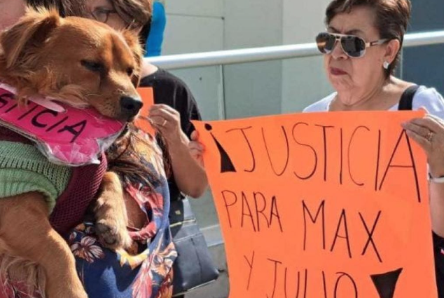 Lee más sobre el artículo FALLECE EL ACTOR DAVID OSTROSKY A LOS 66 AÑOS