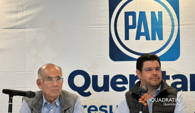 Lee más sobre el artículo PIDE PAN QUE ROCÍO PENICHE SE SEPARE DEL CARGO