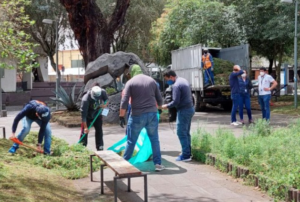 Lee más sobre el artículo ASIGNADAS 31 PERSONAS A TRABAJOS COMUNITARIOS POR FALTAS ADMINISTRATIVAS