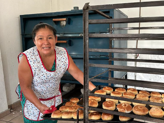 Lee más sobre el artículo CAPACITAN A MIL 500 MUJERES PARA EL AUTOEMPLEO EN QUERÉTARO