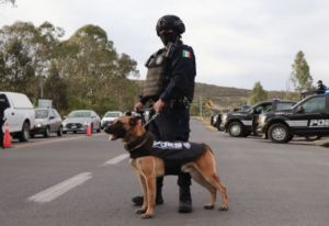 Lee más sobre el artículo Continúa blindaje en los límites con Guanajuato