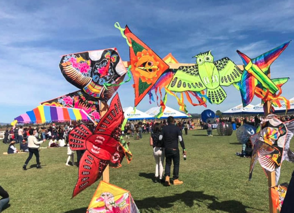 Lee más sobre el artículo Esperan 5 mil visitantes en Fiesta de Papalotes de Tequisquiapan