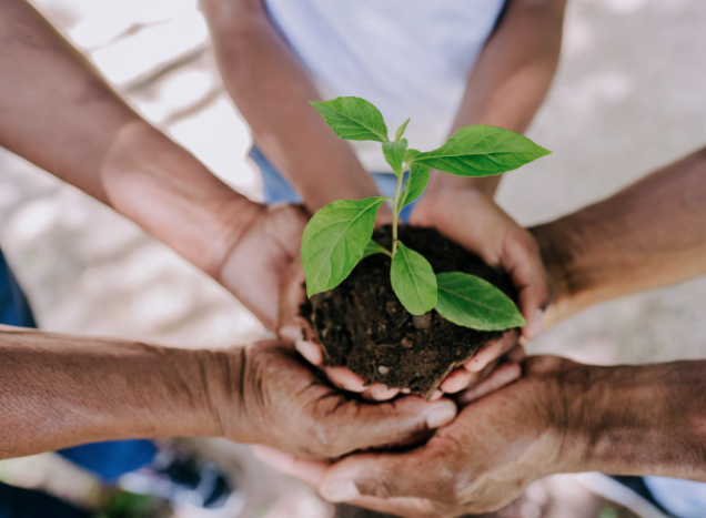 Lee más sobre el artículo Candidatos no fueron ambientalmente responsables: Ambientalistas