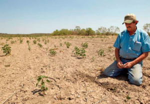 Lee más sobre el artículo Han invertido 100 mdp para hacer frente a sequía en Querétaro