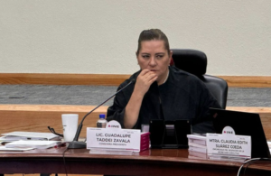 Lee más sobre el artículo Pese a recorte, INE hará trabajo de excelencia en elección del PJ: Taddei