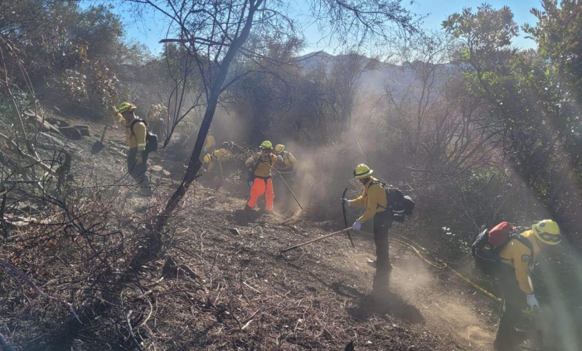 Lee más sobre el artículo Se cumple una semana de incendios en Los Ángeles, California