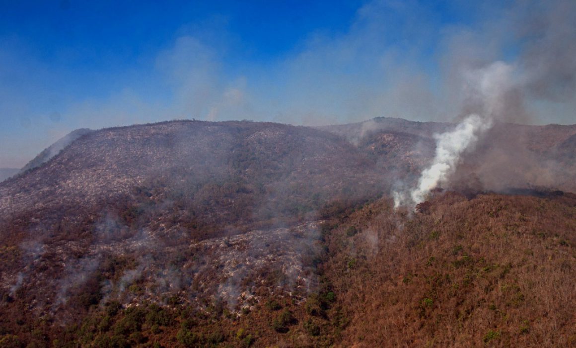 Lee más sobre el artículo Incendios no han afectado la calidad del aire: Sedesu