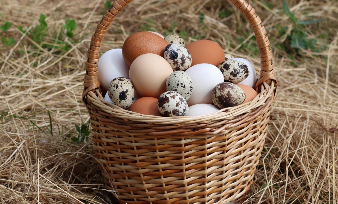 Lee más sobre el artículo Rompe récord precio del huevo, se vende hasta en 205 pesos en EU