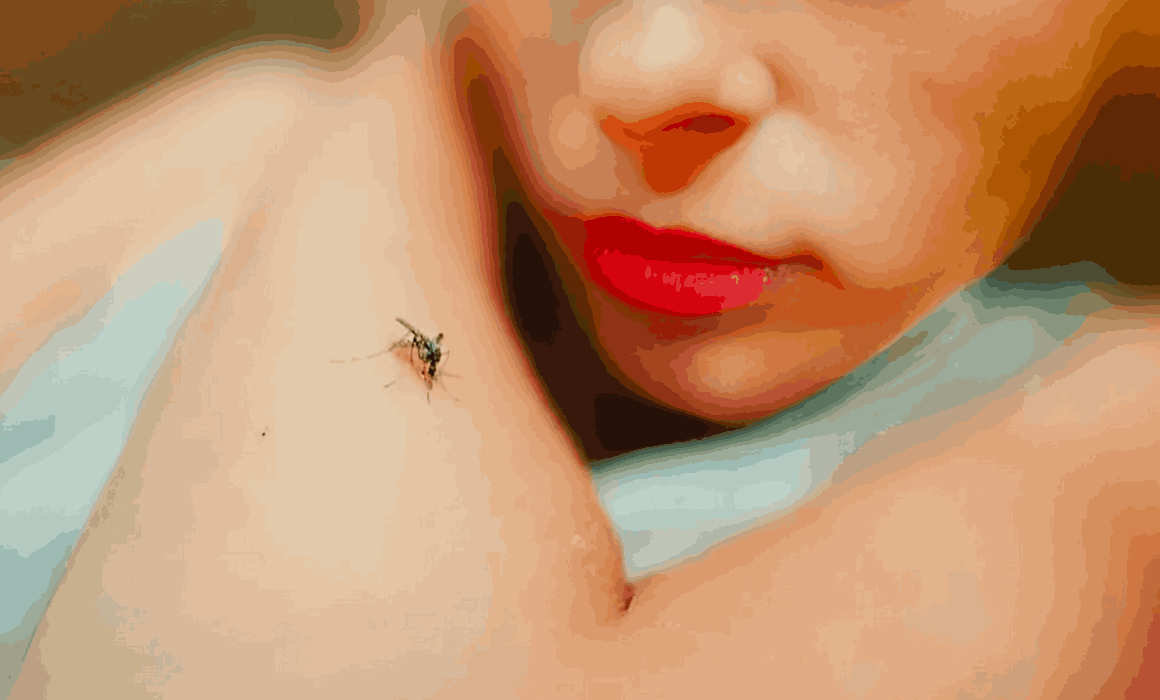 Lee más sobre el artículo Reportan 13 casos positivos de dengue en Querétaro