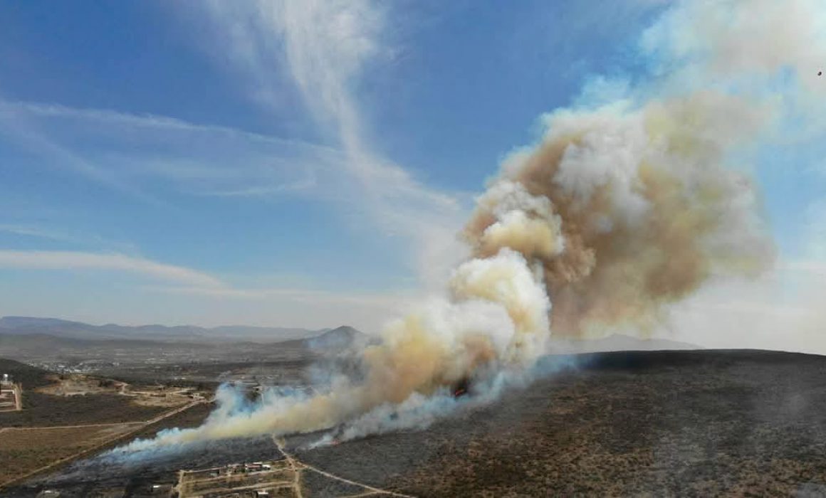 Lee más sobre el artículo Predios forestales que han sufrido incendios no pueden ser urbanizados