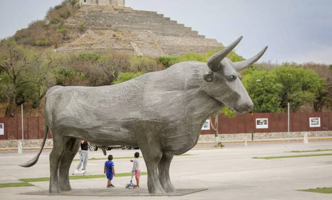 Lee más sobre el artículo Lanzan convocatoria Buey, Arte y Tradición en Corregidora