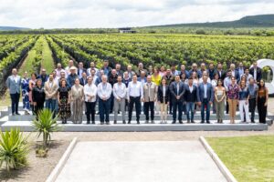 Lee más sobre el artículo Expande Querétaro su emergente industria vitivinícola a través de su clúster