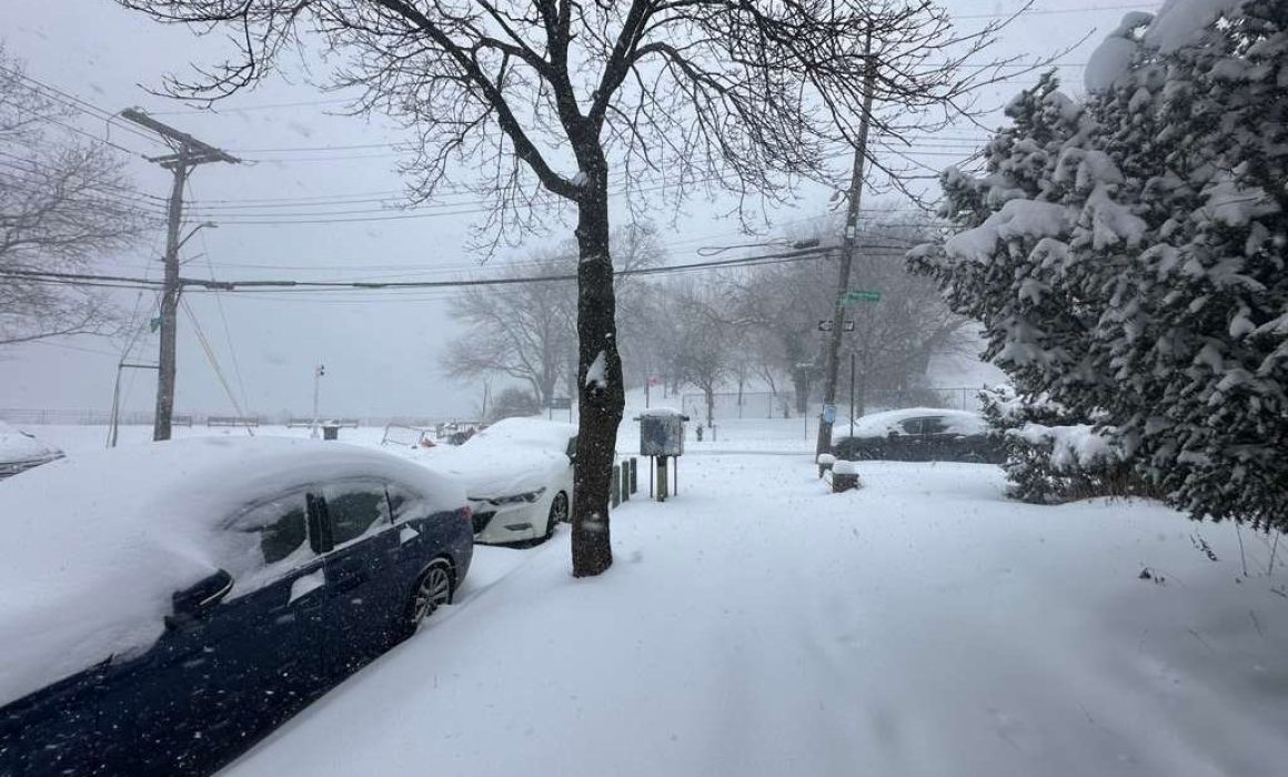 Lee más sobre el artículo Suman 9 muertos y colapso eléctrico por frío extremo en el sur de EU