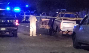 Lee más sobre el artículo Prenden fuego a camioneta en Jurica Pueblo