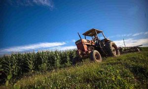 Lee más sobre el artículo El Senado recibe otra iniciativa de Sheinbaum: reforma del campo mexicano