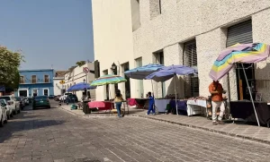 Lee más sobre el artículo Galería municipal opera como punto de venta para artesanos en el Centro