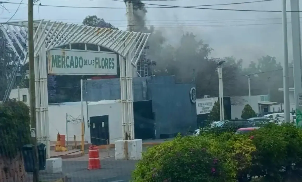 Lee más sobre el artículo Ambientalista denuncia contaminación por crematorio en la colonia Cimatario