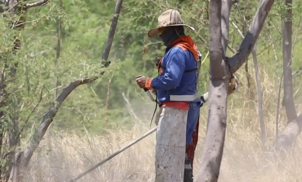 Lee más sobre el artículo Mantendrán acciones de fumigación en las instalaciones del Parque Querétaro 2000