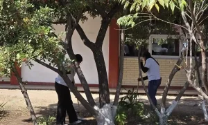 Lee más sobre el artículo Abrirá COBAQ bachillerato incluyente en San Juan del Río en este 2026
