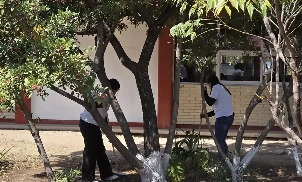 Lee más sobre el artículo Abrirá COBAQ bachillerato incluyente en San Juan del Río en este 2026
