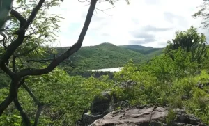 Lee más sobre el artículo Áreas naturales protegidas abarcan el 38% del territorio queretano