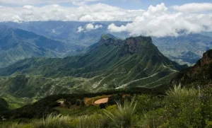 Lee más sobre el artículo Refuerzan prevención por lluvias en municipios del semidesierto