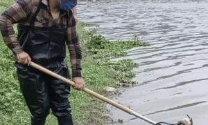 Lee más sobre el artículo Atribuyen muerte de peces en El Batán a contaminación