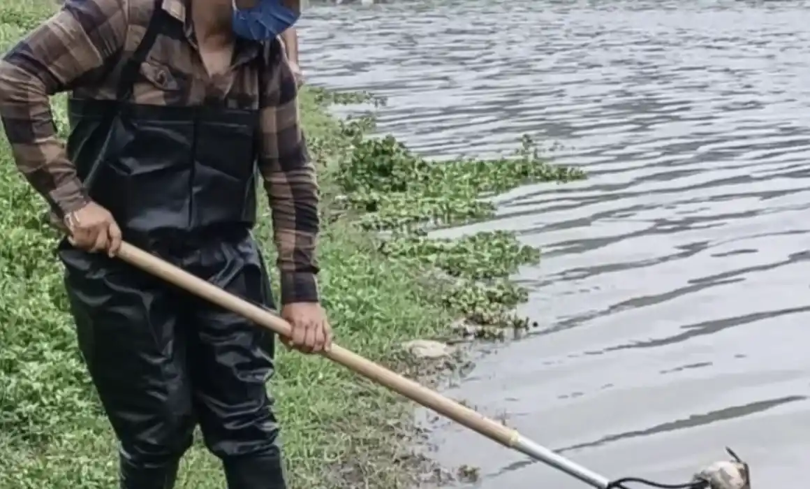 Lee más sobre el artículo Atribuyen muerte de peces en El Batán a contaminación