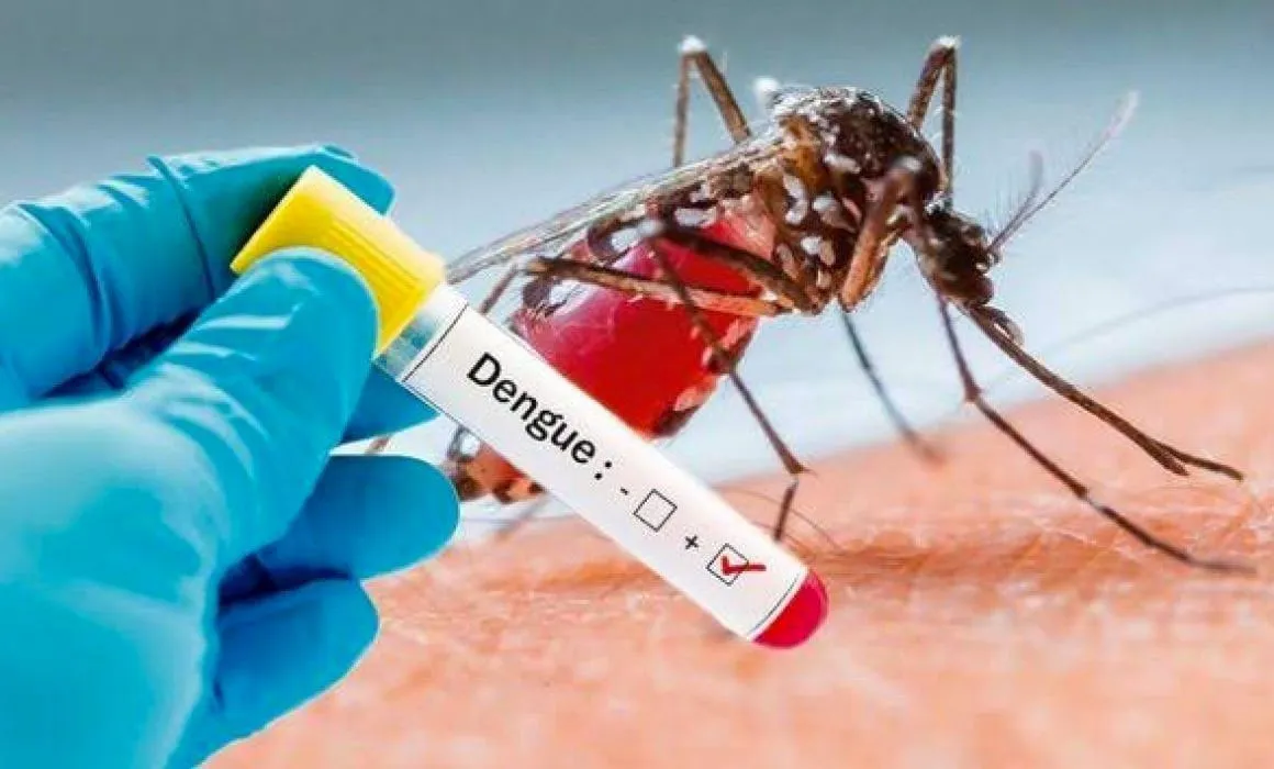 Lee más sobre el artículo Solo hay 1 caso de dengue en Querétaro.