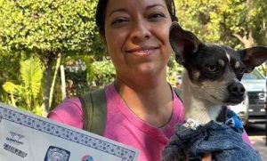 Lee más sobre el artículo Más de 8 mil mascotas ya cuentan con microchip en Querétaro