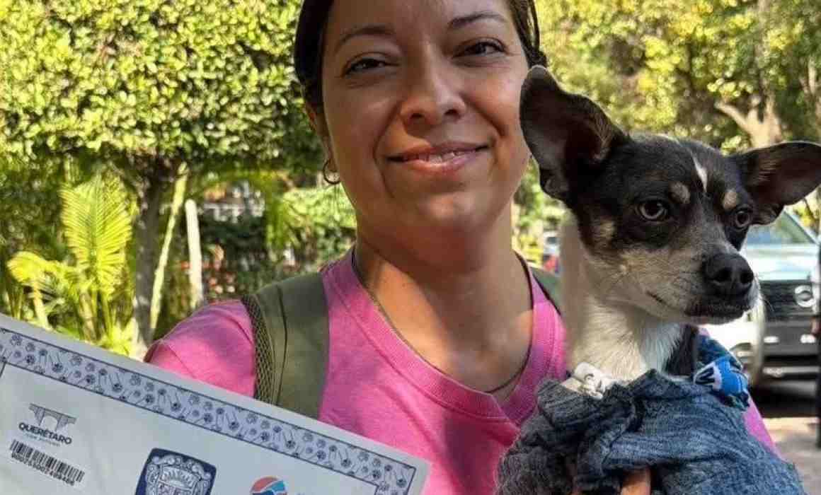 Lee más sobre el artículo Más de 8 mil mascotas ya cuentan con microchip en Querétaro