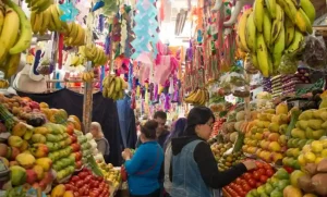 Lee más sobre el artículo Reforzarán vigilancia para evitar uso de plásticos de un solo uso en mercados
