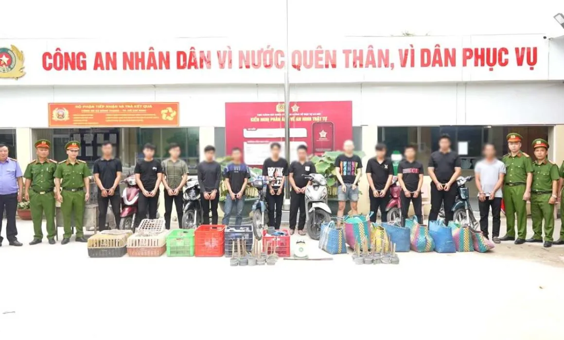 Lee más sobre el artículo Investigan red acusada de vender gatos para consumo humano en Vietnam