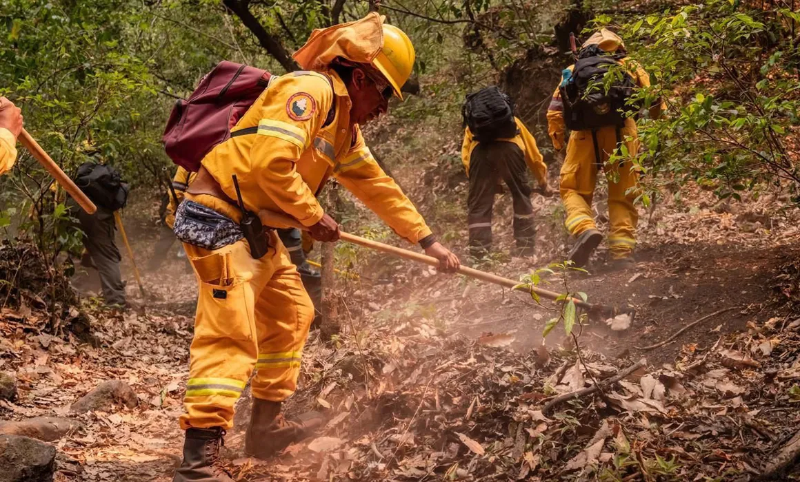 Lee más sobre el artículo Suman más de 5 mil 462 incendios en lo que va del año en México