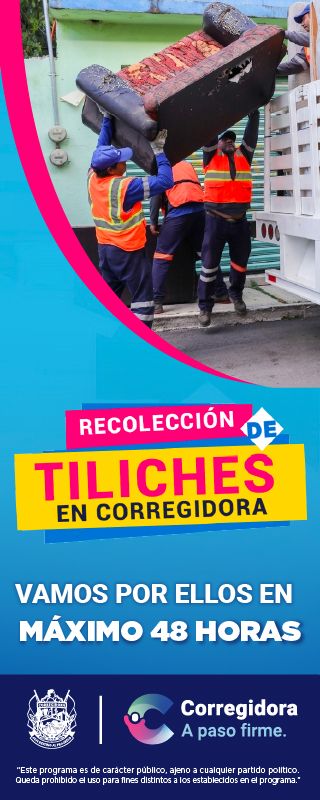 320PX-X-800PX QRO-NEWS tiliches 11zon