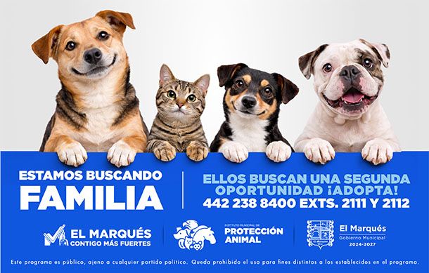 TIMPA QRO-NEWS-610-x-389-px 11zon